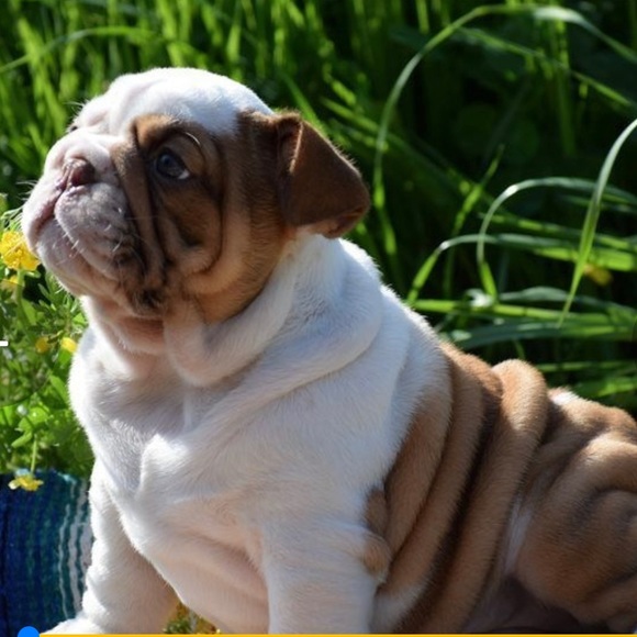 Our Baby Girl Miss Bella B - Picture 3 of 16